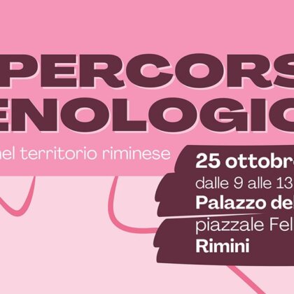 Il percorso senologico: i servizi nel territorio riminese
